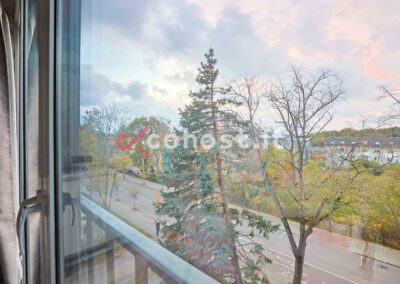 Palanga, Vytauto g., 1 kambario butas