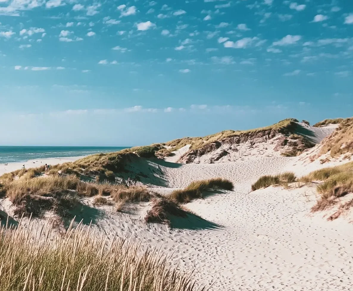 Apartamentai-e1772550755858-mobile-v apartamentai-prie-juros