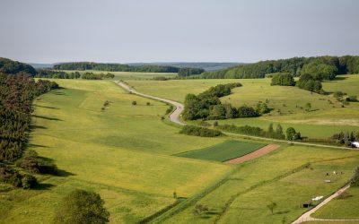 Kaip pasiruošti sklypo pardavimui?
